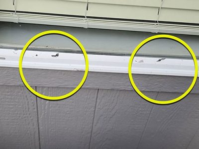 Window Frame Repair