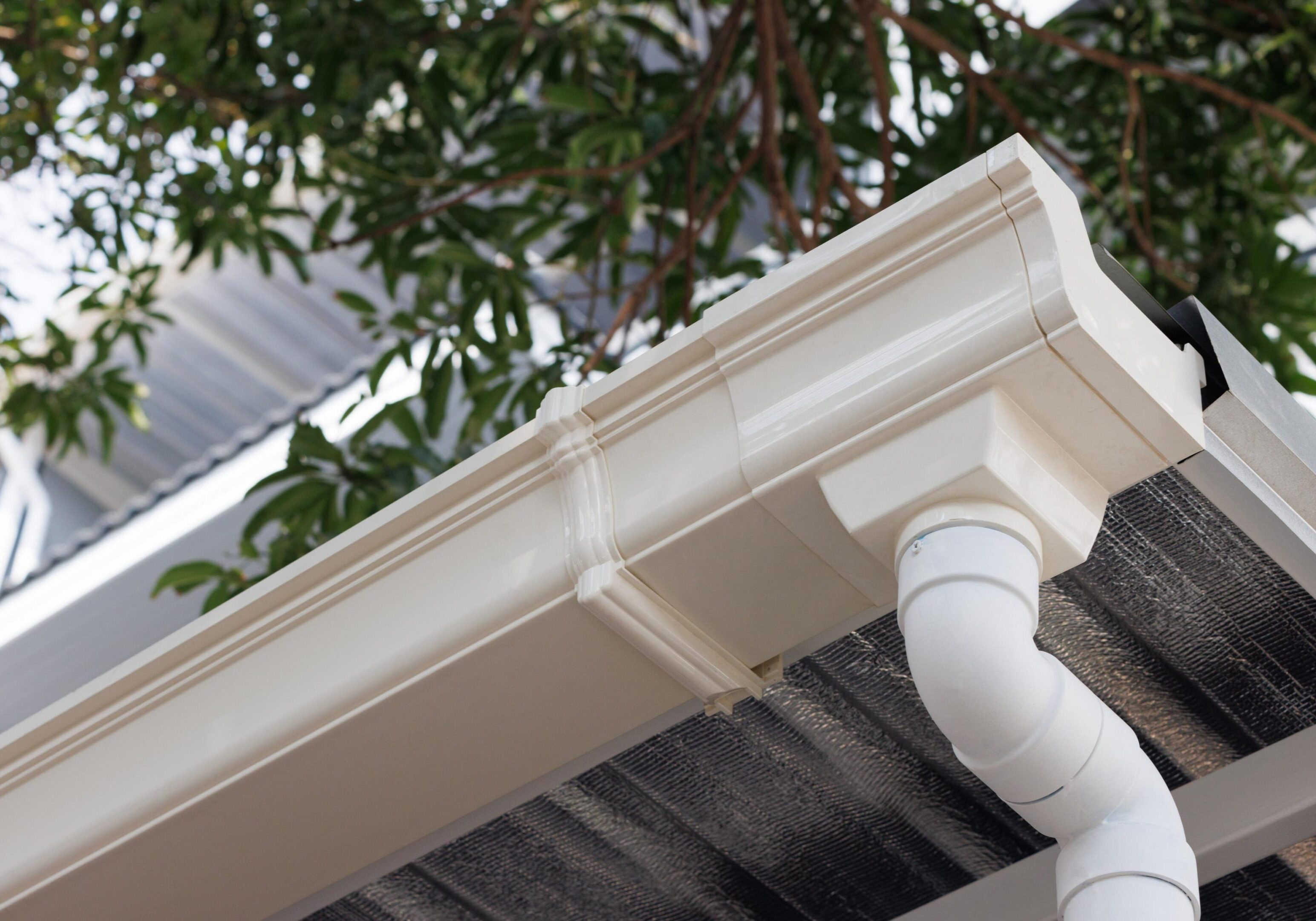 House gutter system beneath tree branches.